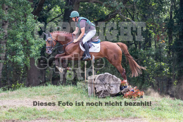 Late-Entry Vielseitigkeit Hamminkeln/Wesel (01.+02.08.2020)