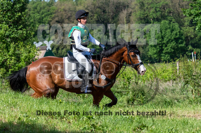 Westerstede Horse Trials (10.-13.06.2021)