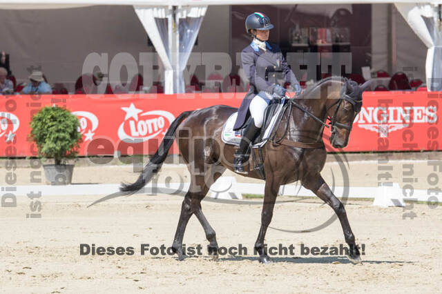 FEI European Championship