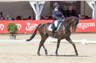 FEI European Championship