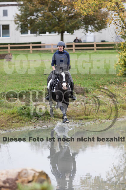 IGV Lehrgang der Sieger der Cups mit Frank Ostholt