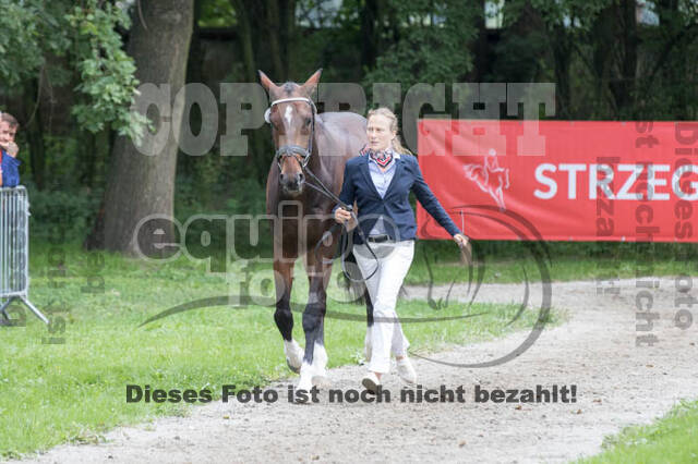 FEI European Championship Eventing 2017