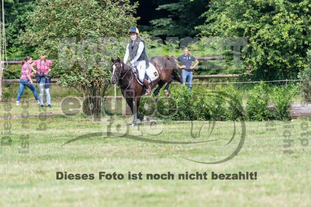 Goldene Schärpe 2021 - Ponys