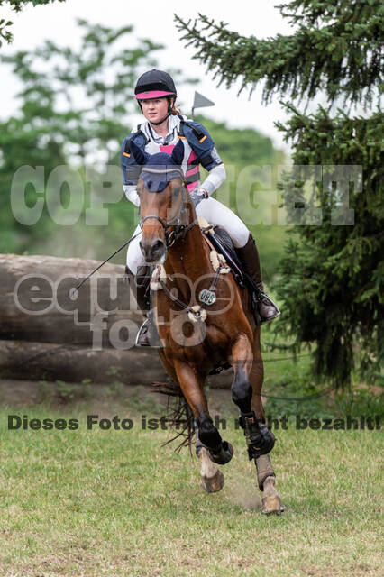 Late-Entry-Vielseitigkeit Langenfeld (11.+13./14.06.2020)