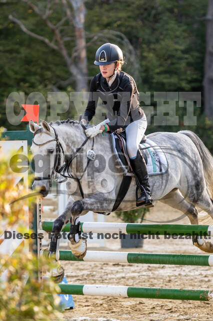 RFV Dinslaken-Hiesfeld (Herbstturnier)