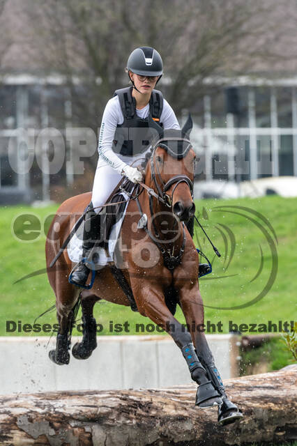 Goldene Schärpe 2020 - Pferde