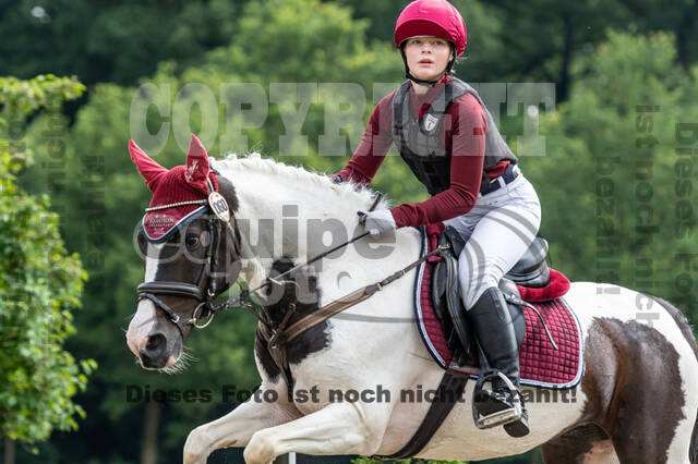 Goldene Schärpe 2021 - Ponys