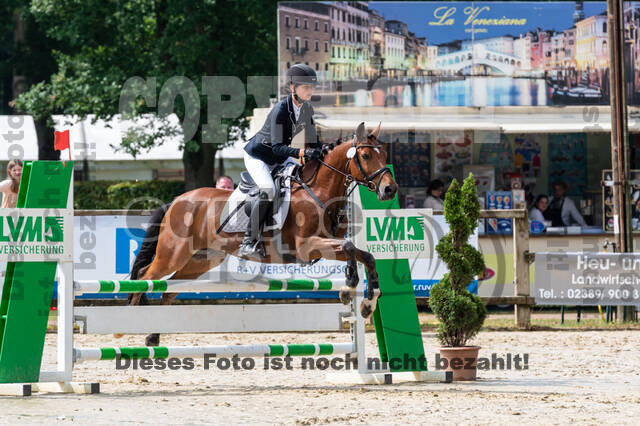 Goldene Schärpe 2021 - Ponys