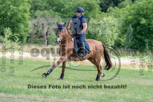 Bonn-Rodderberg Late-Entry-Vielseitigkeit (30.06.2020)