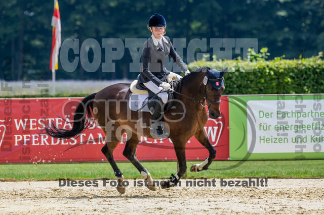 Goldene Schärpe 2021 - Ponys