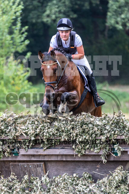 Late-Entry Vielseitigkeit Hamminkeln/Wesel (01.+02.08.2020)