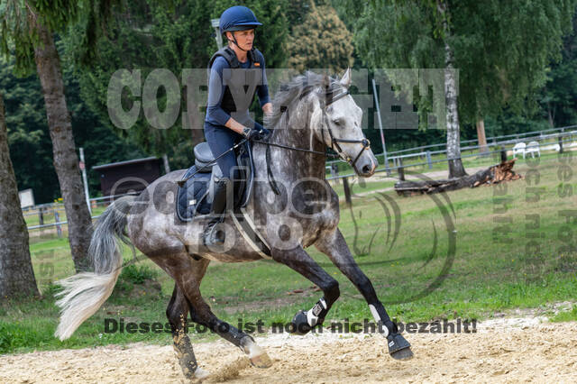 Hunter Geländetraining 10.07.2021 (Sonsbeck)