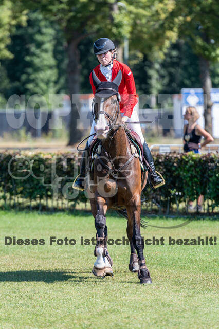 Kronenberg - De Peelbergen (August 2020)