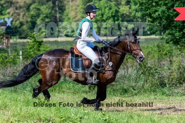 Westerstede Horse Trials (10.-13.06.2021)