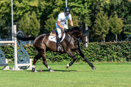 Kronenberg - De Peelbergen (August 2020)