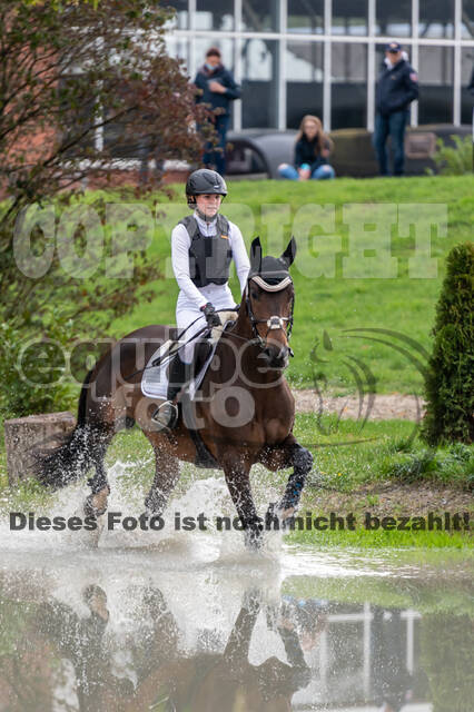 Goldene Schärpe 2020 - Pferde