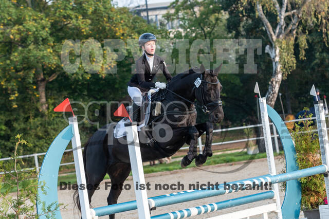 Reiter Schleswig-Holstein