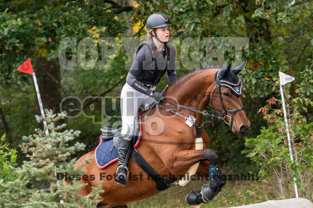 Goldene Schärpe 2020 - Pferde