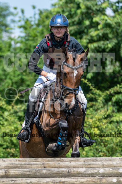 Goldene Schärpe 2021 - Ponys