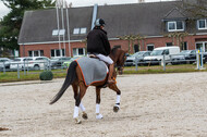 Eventing im Pferdesportzentrum Rheinland (Late Entry 14.03.2022)