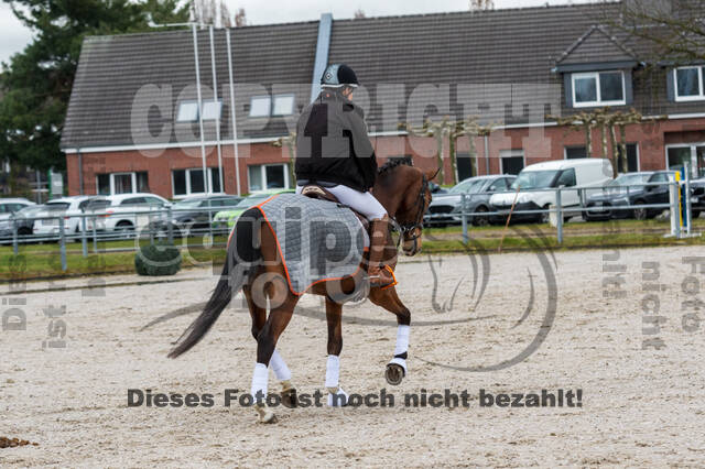 Eventing im Pferdesportzentrum Rheinland (Late Entry 14.03.2022)