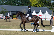 Kronenberg - De Peelbergen (August 2020)
