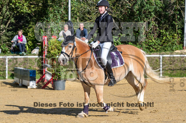 RFV Dinslaken-Hiesfeld (Herbstturnier)