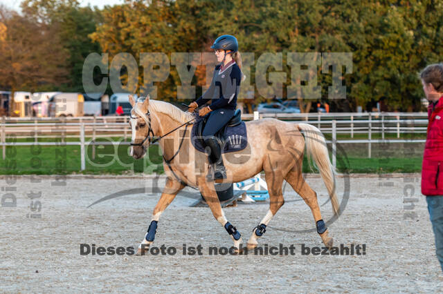 IGV Lehrgang der Sieger der Cups mit Frank Ostholt