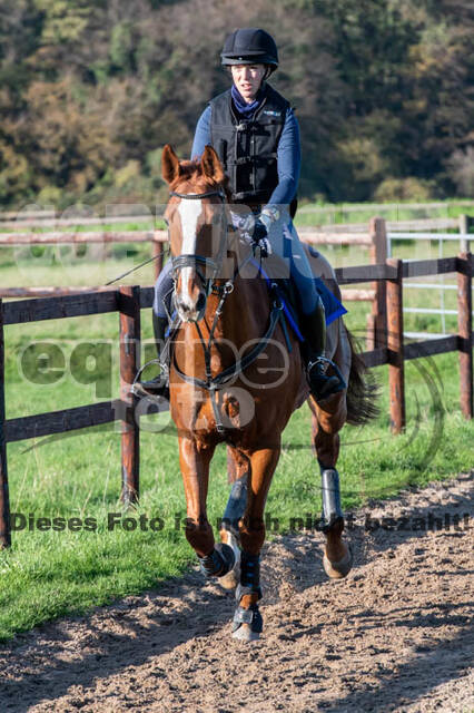 Vielseitigkeitslehrgang mit Jürg Kurbel (9.+10.11.2019)
