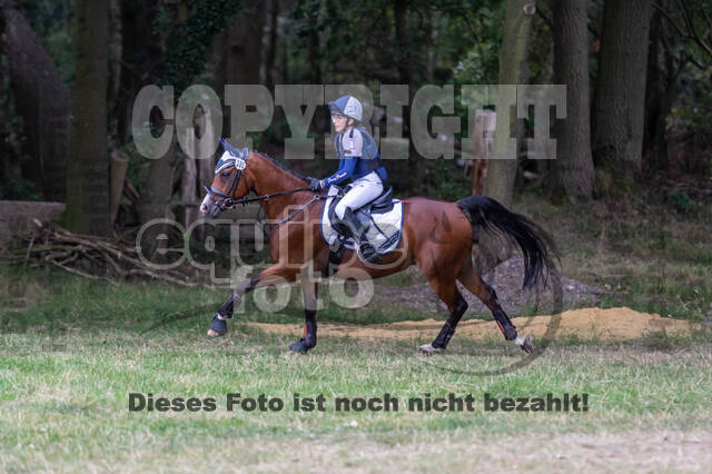 Late-Entry Vielseitigkeit Hamminkeln/Wesel (01.+02.08.2020)