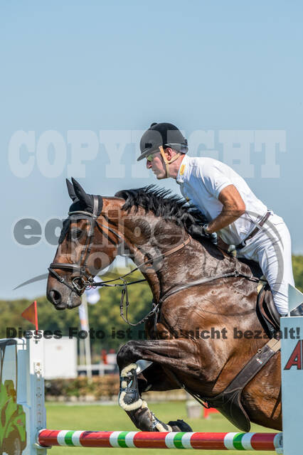 Kronenberg - De Peelbergen (August 2020)