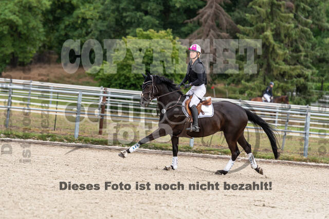 Late-Entry-Vielseitigkeit Langenfeld (11.+13./14.06.2020)