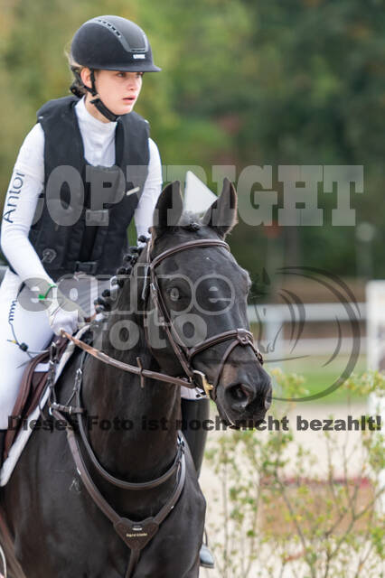 Goldene Schärpe 2020 - Pferde