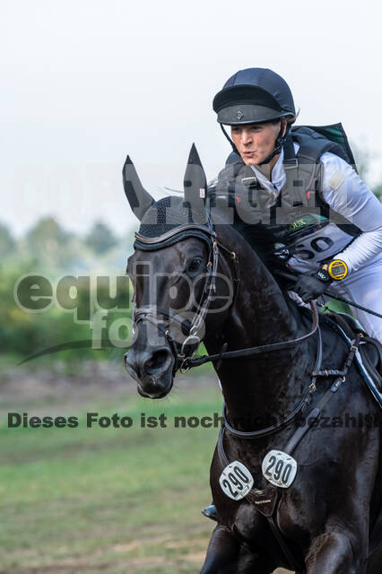 De Peelbergen (August 2020)