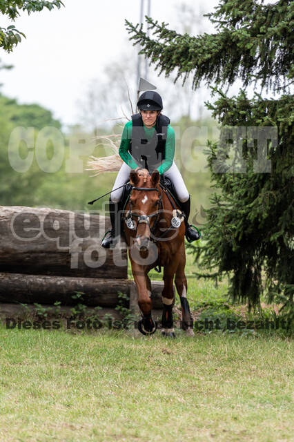 Late-Entry-Vielseitigkeit Langenfeld (11.+13./14.06.2020)