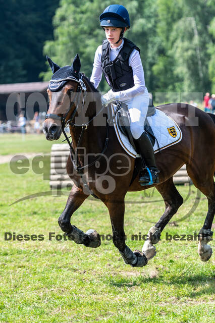 Goldene Schärpe 2021 - Ponys