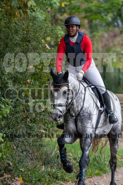 Goldene Schärpe 2020 - Pferde