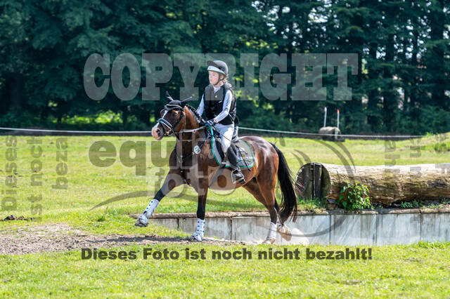 Goldene Schärpe 2021 - Ponys