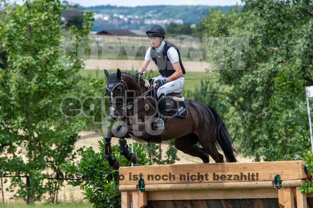 Bonn-Rodderberg Late-Entry-Vielseitigkeit (30.06.2020)