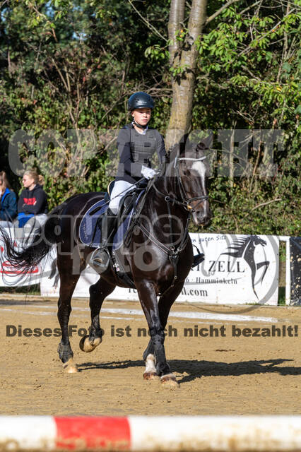 RFV Dinslaken-Hiesfeld (Herbstturnier)