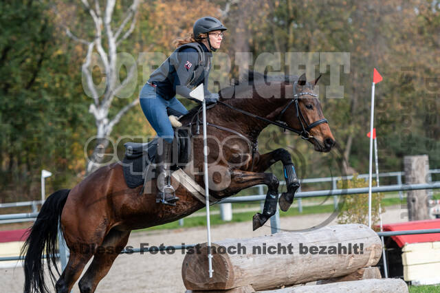 IGV Lehrgang der Sieger der Cups mit Frank Ostholt