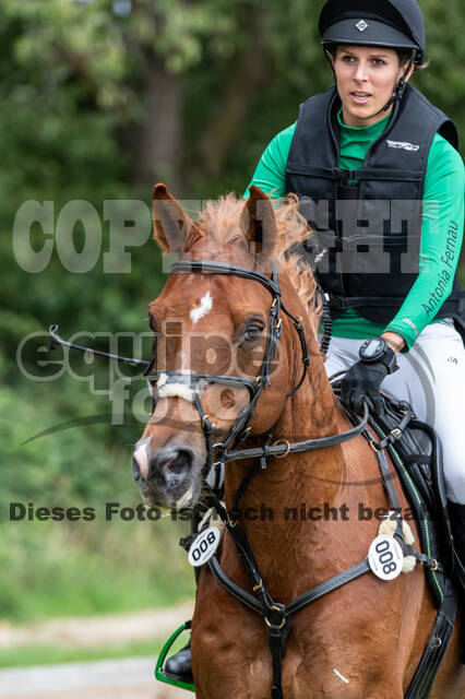 Late-Entry-Vielseitigkeit Langenfeld (06.+07.07.2020)