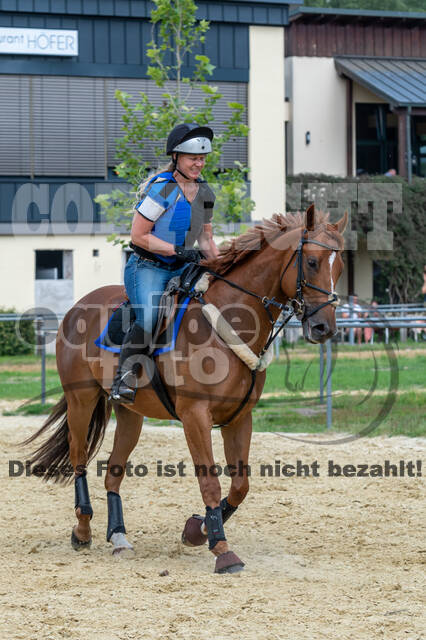Hunter Geländetraining 10.07.2021 (Sonsbeck)