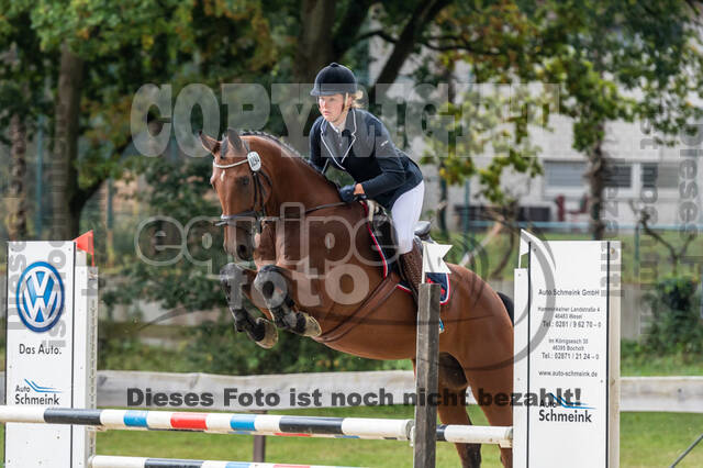 Vielseitigkeit RSV Wesel Obrighoven (26.+27.09.2020)