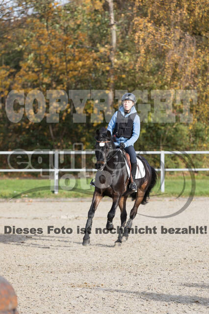 IGV Lehrgang der Sieger der Cups mit Frank Ostholt