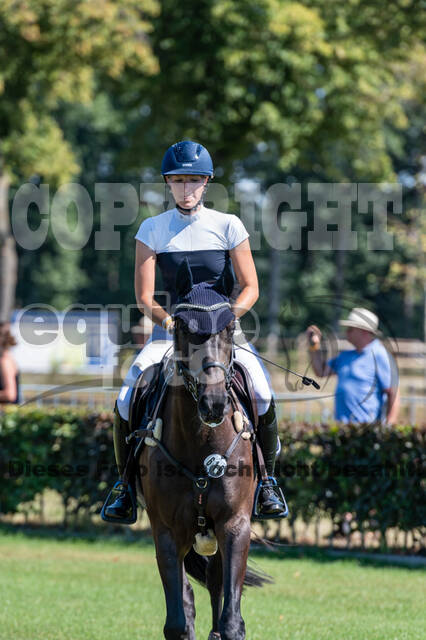 Kronenberg - De Peelbergen (August 2020)