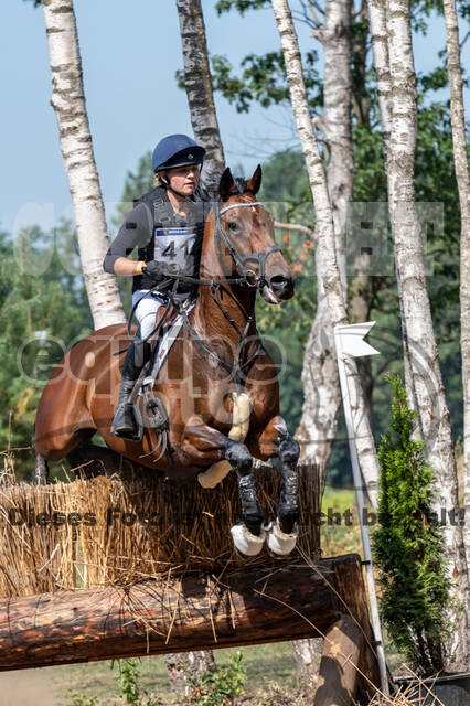 De Peelbergen (August 2020)