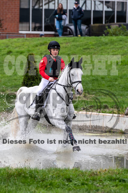 Goldene Schärpe 2020 - Pferde