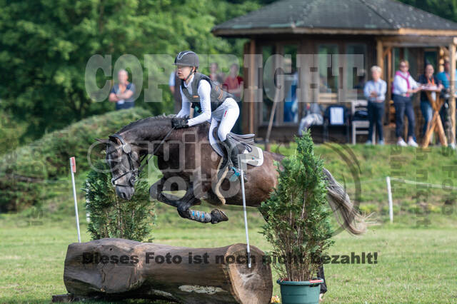 Goldene Schärpe 2021 - Ponys