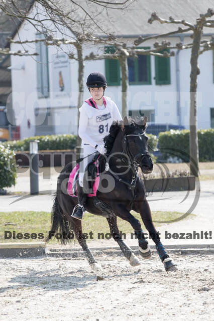 Eventing Langenfeld 2018